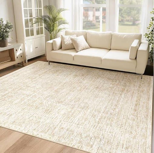 OHGOOGNESS 6x9 Area Rugs for Living Room: Washable Moroccan Geometric Boho Rug Farmhouse Non Slip Stain Resistant Large Rug