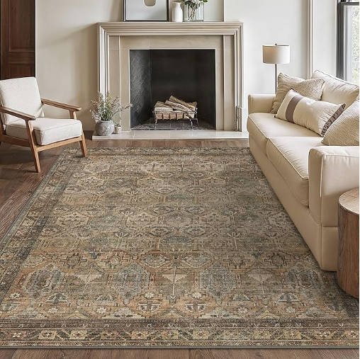 OHGOOGNESS Washable Rug 6x9 Area Rug for Living Room Bedroom Dining, Washable Vintage Print Carpet - Image 4