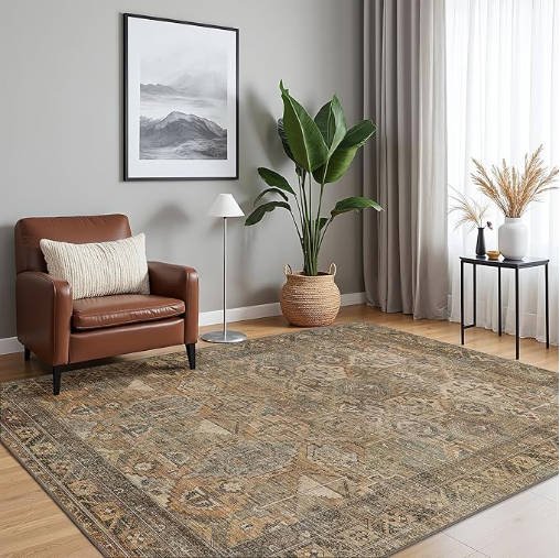 OHGOOGNESS Washable Rug 6x9 Area Rug for Living Room Bedroom Dining, Washable Vintage Print Carpet - Image 3
