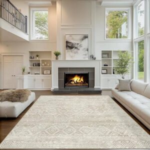 OHGOOGNESS 6x9 Area Rugs Washable Rug: Anti-Skid Abstract Modern Living Room Rug Soft Thin Carpets Indoor Floor